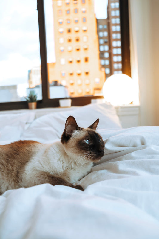 Science Based Sleep Tricks